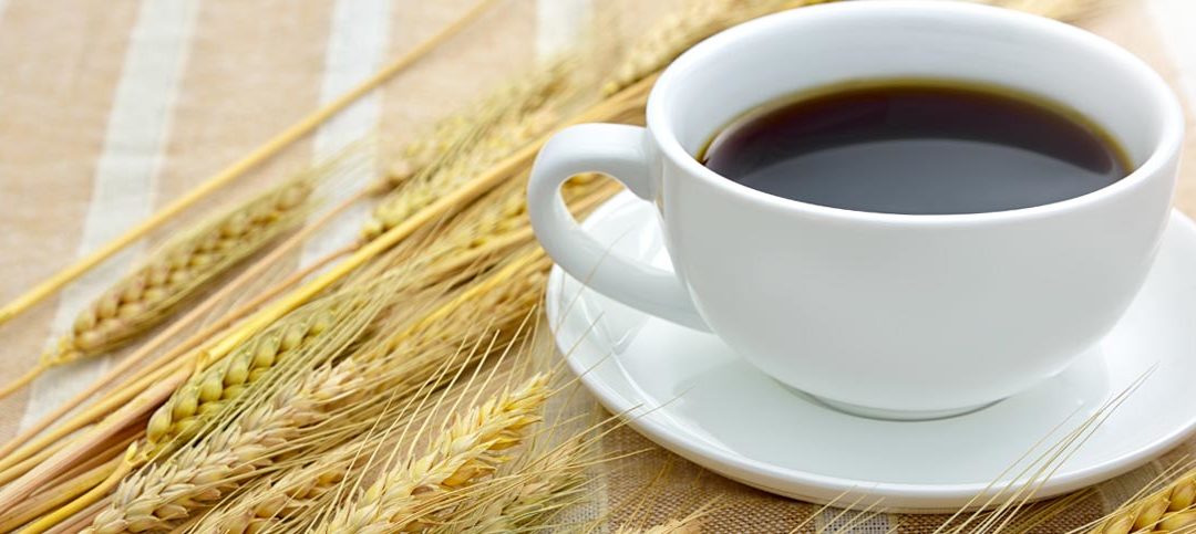 10 benefici e curiosità sul caffè d'orzo - Pasqualini il caffè