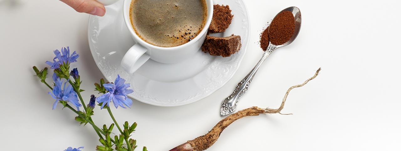 Il benessere in tazzina: cosa sappiamo del caffè di cicoria? - Pasqualini  il caffè